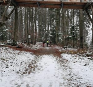 Krynica - Słotwiny - Bacówka nad Wierchomlą - Krynica-Zdrój - 3
