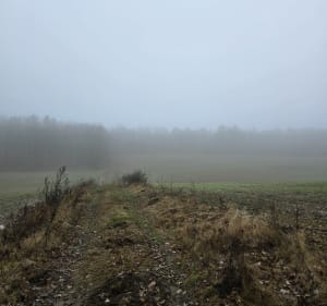 Południe WPN - Marcin - 4