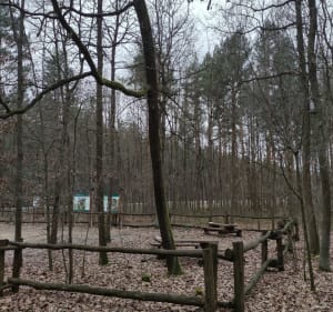 Młyńskie Koła i Dawny Dywizjon Rakietowy - Bobrek - 3