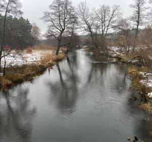Lasy Kobylnicy - Kobylnica - 3