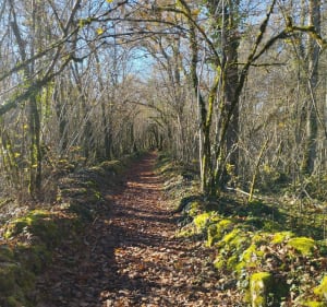 Boucle de Saint Pardoux - Mareuil en Périgord - 3
