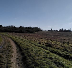 Boucle dans le vignoble de Cameyrac - Saint-Sulpice-et-Cameyrac - 3