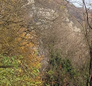 Balade au bord du Drac à Claix - André  - 3