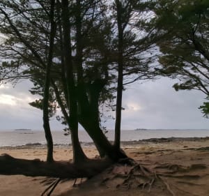 Entre chemins et bord de mer à Séné - Séné - 5