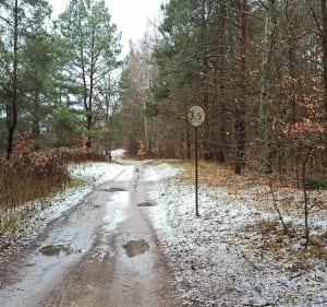 Niebieska ścieżka biegowa - Kwidzyn - 5