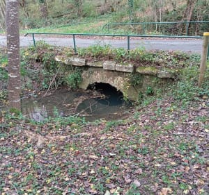 Boucle de la Peyre Dermale à Paussac, par Loubazac - Paussac-et-Saint-Vivien - 4