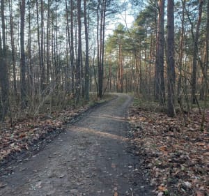 Ścieżka przyrodnicza dla rowerzystów i pieszych - Wołomin - 3