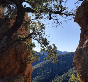 Une petite boucle dans l'Estérel depuis Le Trayas. - Saint-Raphaël - 4