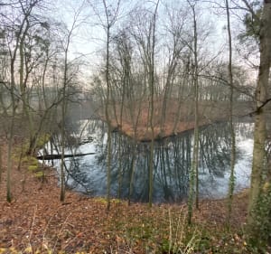 Park Tysiąclecia - Toruń - 3