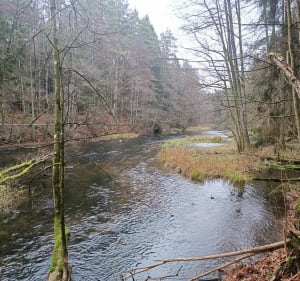 Aktywnie w Lesie Miejskim - Olsztyn - 5