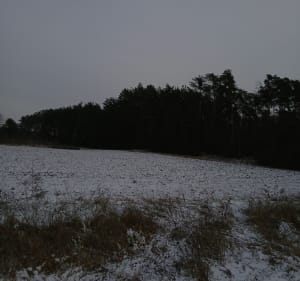 Pieszo Styczeń - Składowice - 4
