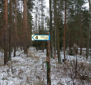 Pieszo Styczeń - Składowice - 5