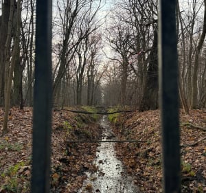 Spacer po wilanowskich polach koło Rezerwatu Natolińskiego - Warszawa - 4