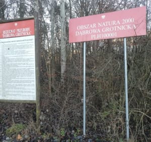 Wokół rezerwatu przyrody "Dąbrowa Grotnicka". - Orła - 3