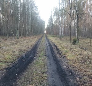 Wokół rezerwatu przyrody "Dąbrowa Grotnicka". - Orła - 5