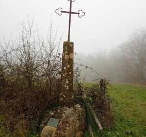 Forêt près de Cluny et observation des cerfs - La Vineuse sur Fregande - 3
