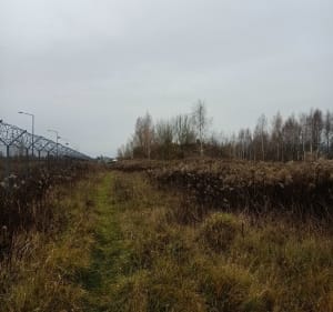 Jesienny spacer - Łódź-Polesie - 3