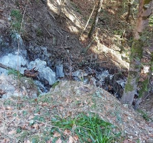 Rando facile autour du Mont-Dore - Mont-Dore - 3
