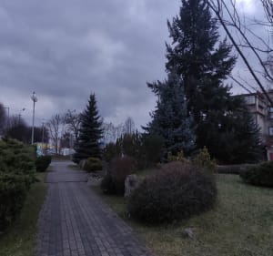 Wokół boiska i Park Nowy - Libiąż - 5