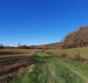 Tillac en vue - Tillac - 3