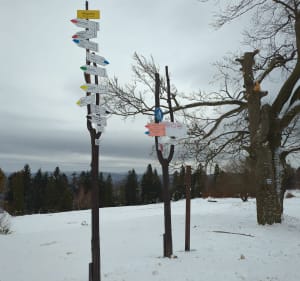 Magurska Wilkowicka z Wilkowic, w poszukiwaniu zimy - Wilkowice - 3
