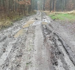 Rakowiecka rundka po lesie - Rakowiec - 4
