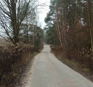 Rakowiecka rundka po lesie - Rakowiec - 5