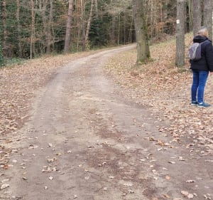Plateau Ouillas - Aurec-sur-Loire - 4