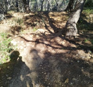 Sortie clape l'Arbre Blanc - Gruissan - 5