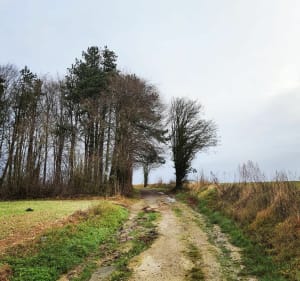 Boucle Doullens Grouche - Doullens - 3