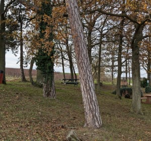 De Coulommes à la Chapelle de Saint-Die par Pargny - Coulommes-la-Montagne - 4