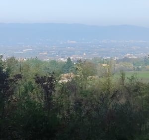 Sur les hauteurs de Loriol-sur-Drôme - Loriol-sur-Drôme - 5