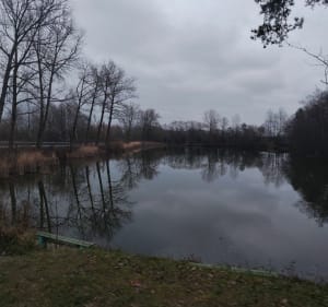Szepietowo - Dąbrówka przy stawach Glinki - Szepietowo - 5