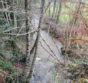De rivière en rivière au Plat des Granges - Claveisolles - 3