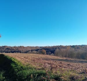 Autour de Peyre Castelner poudenx - Peyre - 3