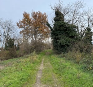 Le long de la Bourne - carlos - 3