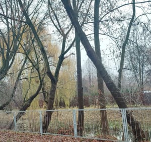 Spacer wokół ogródków działkowych "Waszyngtona" - Warszawa - 4