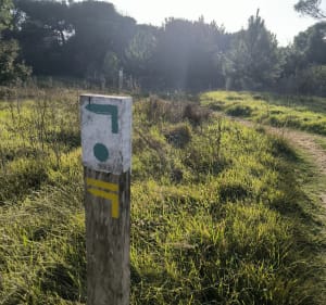 Boucle Grand-village/ Vertbois - Le Grand-Village-Plage - 4