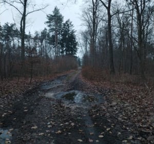 Popołudniowy spacer - Iłowo-Osada - 4