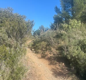 Tour du Mai - Six-Fours-les-Plages - 3