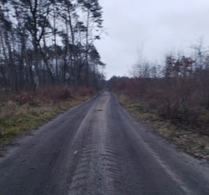 Popołudniowy spacer - Iłowo-Osada - 5