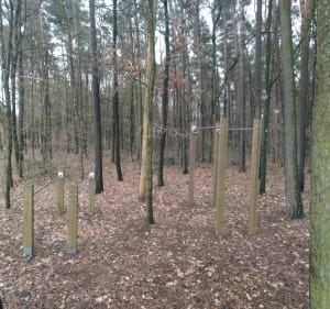Trasa piesza "4 żywioły" z siłownią na świeżym powietrzu - Zielona Góra - 5