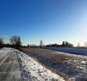 Sztutowo z historią w tle i Moście Czterech Pancernych - Sztutowo - 2
