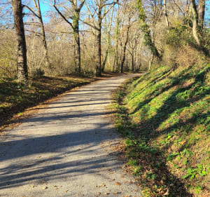 Les coteaux et le chemin des mineurs depuis Castelnau-de-Lévis - Castelnau-de-Lévis - 4