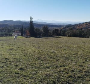 De Leuc à Verzeille dans la campagne de la vallée du Lauquet - Leuc - 3