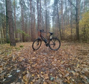 Pętla Wieża Braniborska - WOSIR Drzonków - Zielona Góra - 3