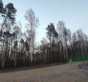 Pomnik Ofiar Faszyzmu - Libiąż - 5