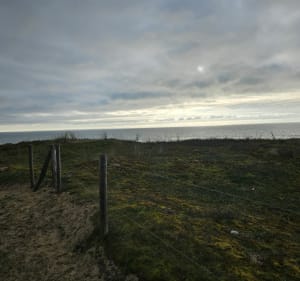 Petit chemin forestier au Rocher - Longeville-sur-Mer - 5