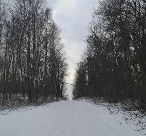 Wymysłów-Osy - Wymysłów - 3