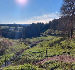 Balade proche de Tence, au départ de Crouzilhac. - Tence - 5
